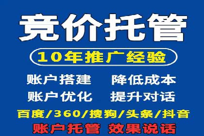 案例分享：SEM推广助力电商快速崛起